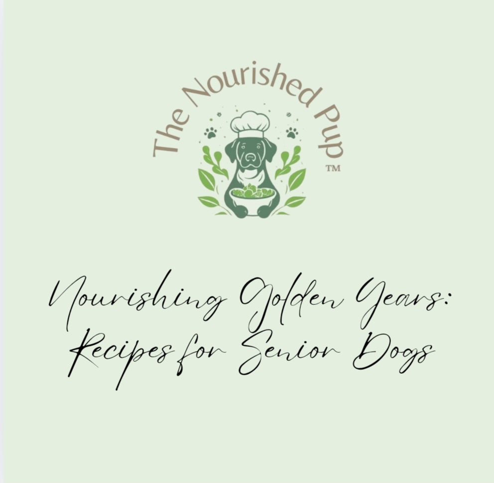 Nourishing Golden Years: Recipes for Senior Dogs
