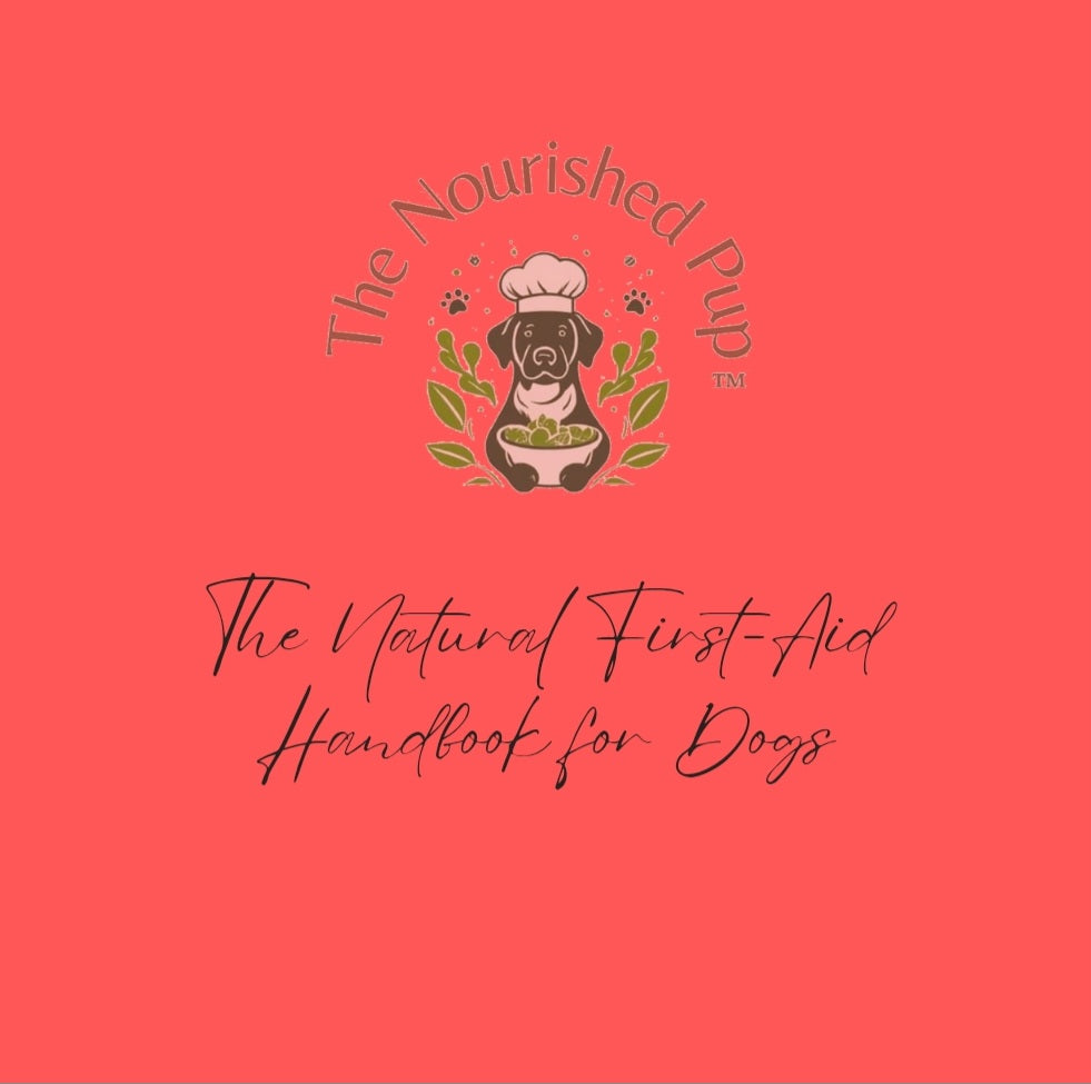 The Nourished Pup Natural First Aid Guide