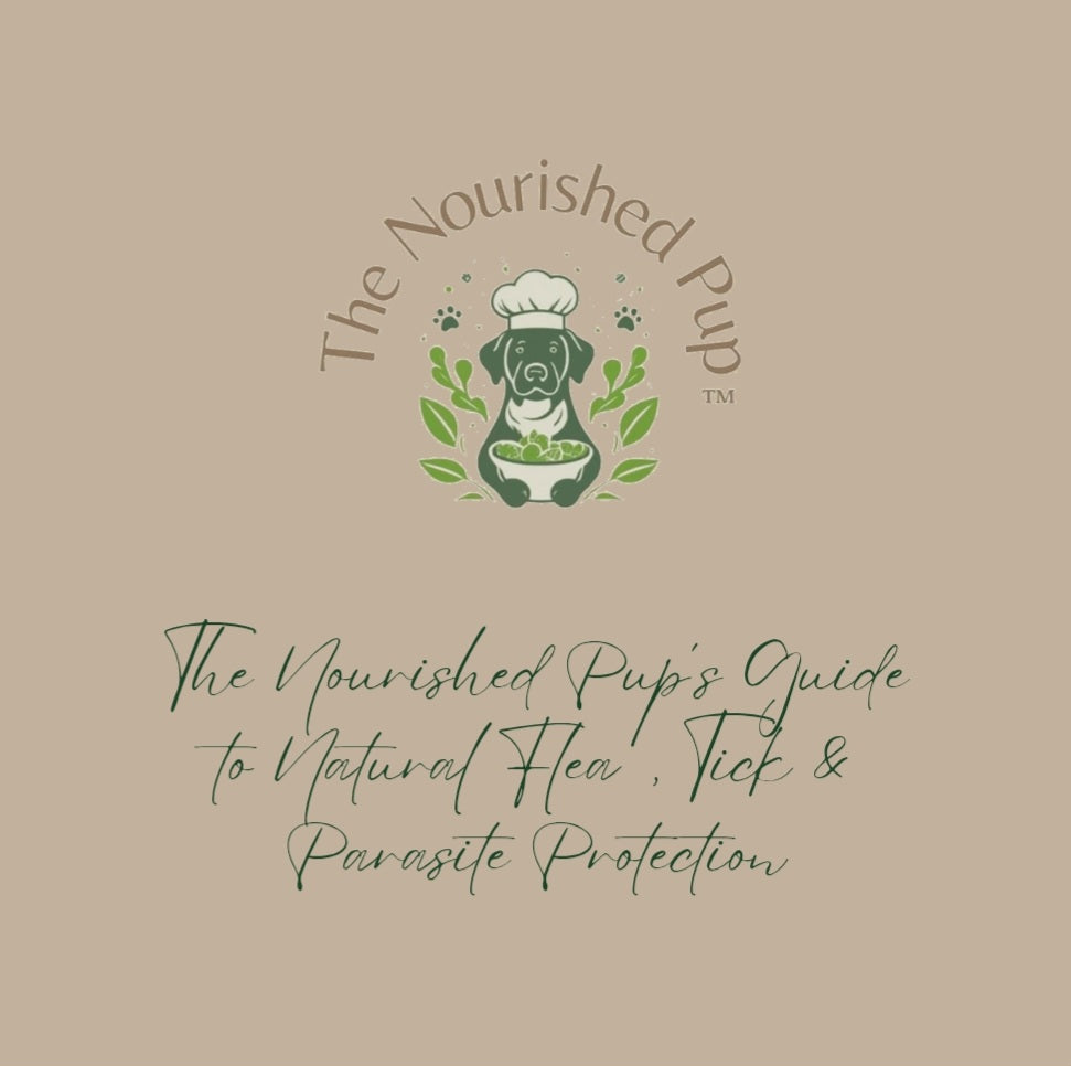 The Nourished Pup’s Guide to Natural Flea, Tick & Parasite Protection