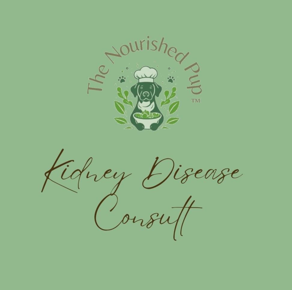 The Nourished Pup Kidney Disease Consult
