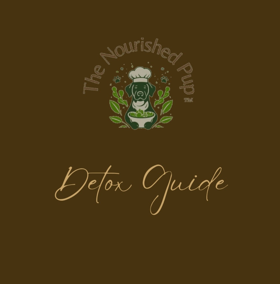 The Nourished Pup Detox Guide