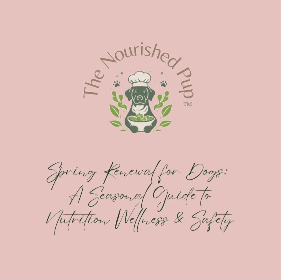Spring Renewal for Dogs: A Seasonal Guide to Nutrition, Wellness & Safety