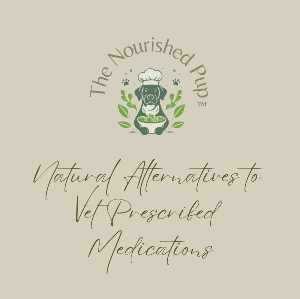 The Nourished Pup Natural Alternatives to Vet Prescribed Medications