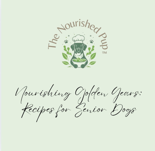 Nourishing Golden Years: Recipes for Senior Dogs