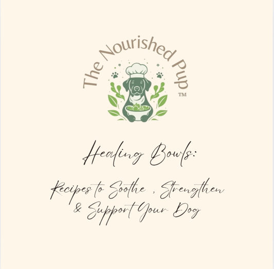 The Nourished Pup Healing Bowls: Recipes to Soothe, Strengthen & Support Your Dog