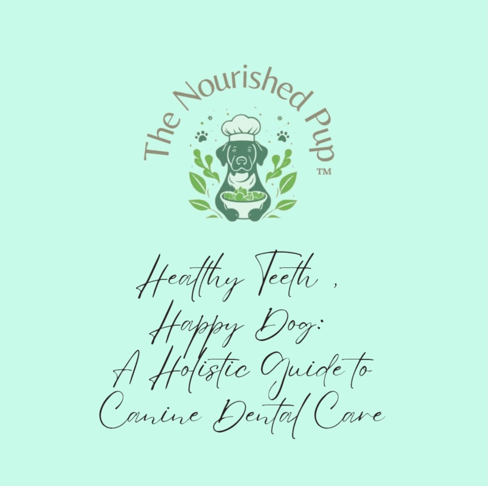Healthy Teeth, Happy Dog: A Holistic Guide to Canine Dental Care