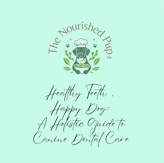 Healthy Teeth, Happy Dog: A Holistic Guide to Canine Dental Care
