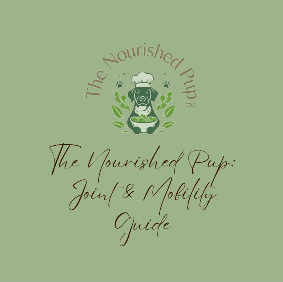 The Nourished Pup: Joint and Mobility Guide