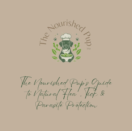 The Nourished Pup’s Guide to Natural Flea, Tick & Parasite Protection
