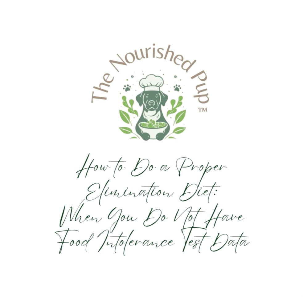 The Nourished Pup: How to Do a Proper Elimination Diet