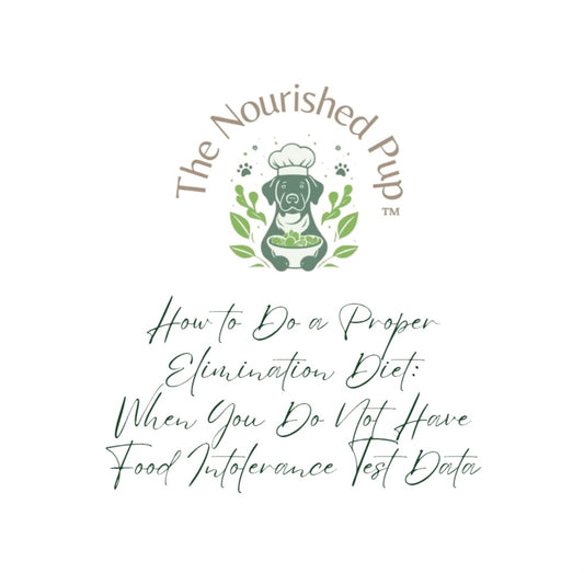 The Nourished Pup: How to Do a Proper Elimination Diet
