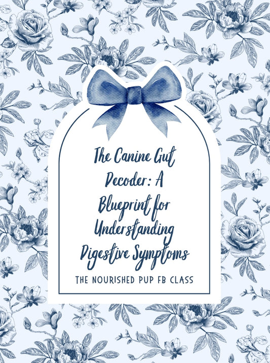 The Canine Gut Decoder A Blueprint for Understanding Digestive Symptoms in Dogs Class