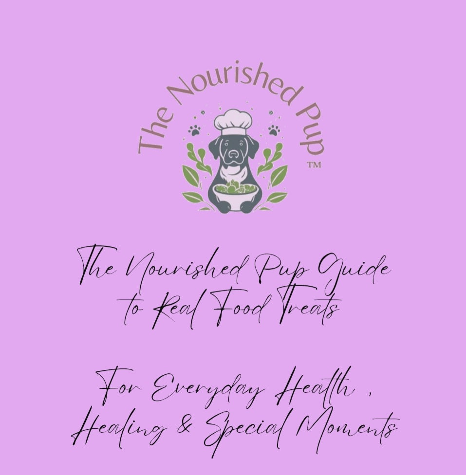 The Nourished Pup Guide to Real Food Treats