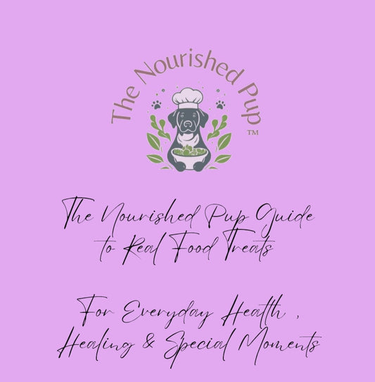 The Nourished Pup Guide to Real Food Treats
