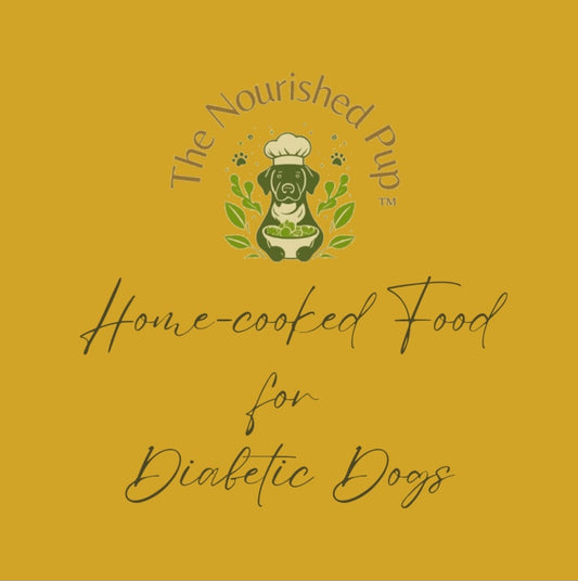 The Nourished Pup Diabetic Dogs Booklet