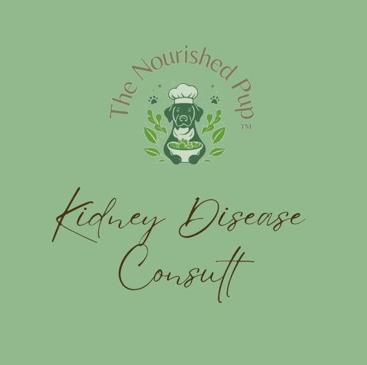 The Nourished Pup Kidney Disease Consult