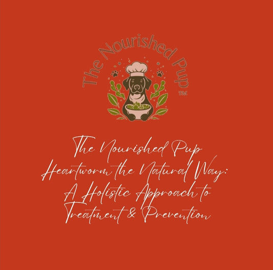 The Nourished Pup Heartworm the Natural Way: A Holistic Approach to Treatment & Prevention