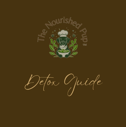 The Nourished Pup Detox Guide
