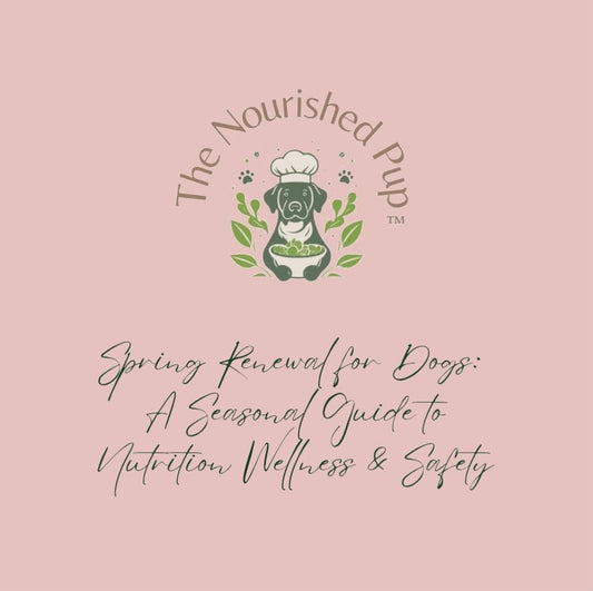 Spring Renewal for Dogs: A Seasonal Guide to Nutrition, Wellness & Safety