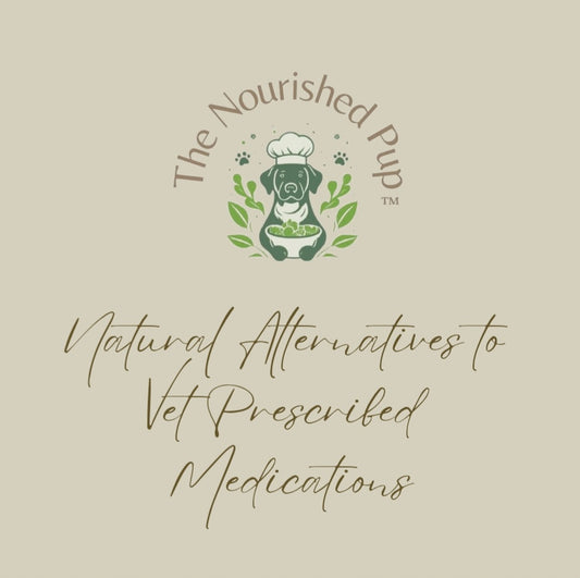 The Nourished Pup Natural Alternatives to Vet Prescribed Medications