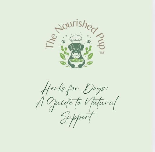 The Nourished Pup Herb Guide